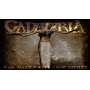 CADAVERIA - Far away conformity - Cd Digipack