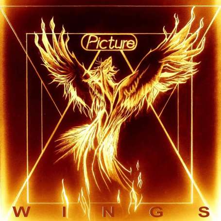 PICTURE - Wings - Cd SlipCase