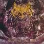 UNLEASHED - Shadows in the deep - Cd