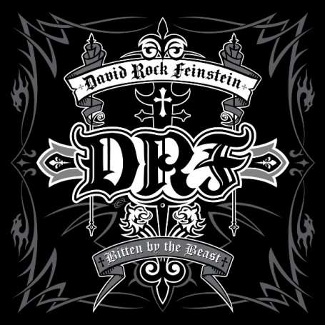 DAVID ROCK FEINSTEIN - Bitten by the beast