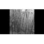STRIBORG - Ghostwoodlands - Cd