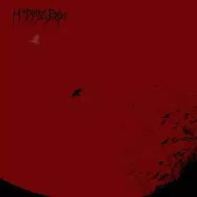 MY DYING BRIDE - Evinta | Doom Metal | CD Slipcase | Icarus Music