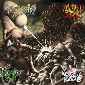 Artistas Varios : Vaginalkebab/humanscrap/scrotovarios/mutilatedjudge