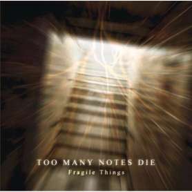 TOO MANY NOTES DIE - Fragile things - Cd
