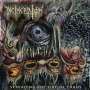 INCINERATION - spreading the fire of chaos - Cd