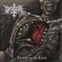 DRAUGAR - Weathering The Curse - Cd