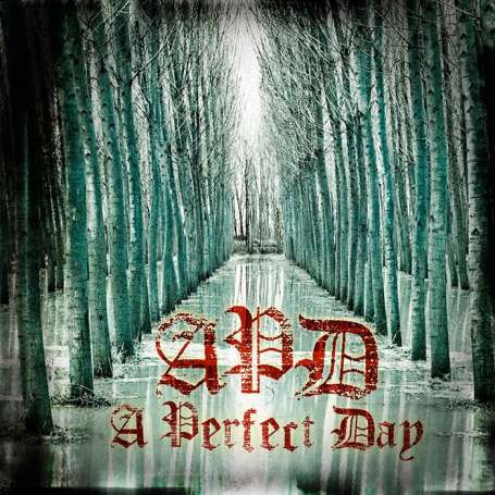 A PERFECT DAY - A perfect Day