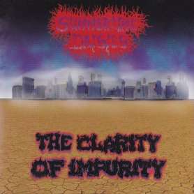 SUMMERTIME DAISIES  - The Clarity Of Impurity - Cd