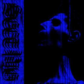 SECT PIG - Slave Destroyed - Cd