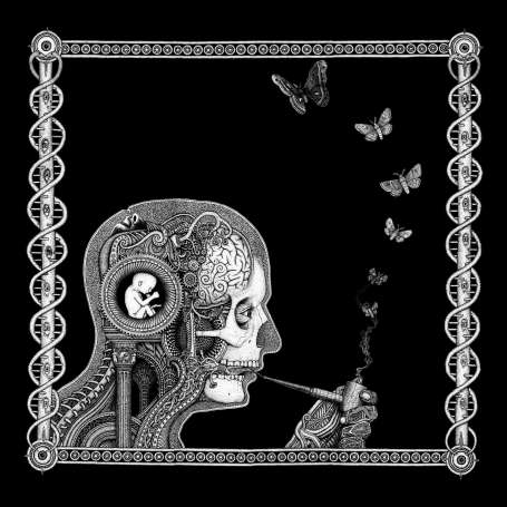 SOEN - Cognitive - Cd