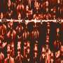 PAIN - Pain | Industrial Metal | CD | Icarus Music