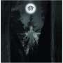 TAATSI - Amidst The Trees - Cd