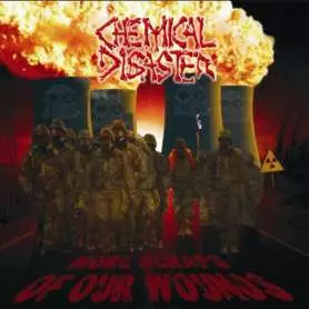 CHEMICAL DISASTER - More scraps of our wound