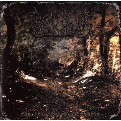 Valkyrja - The Invocation Of Demise - Cd