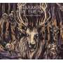HARAKIRY FOR THE SKY - Scorched Earth - Cd