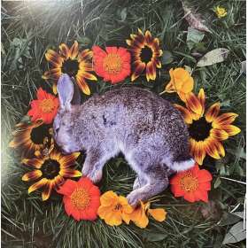 MONOLORD - Your Time To Shine - Lp Color