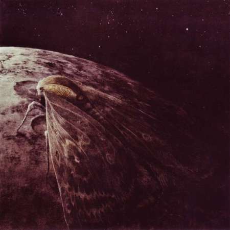 Augrimmer - Moth And The Moon - Cd Agregar a favoritos