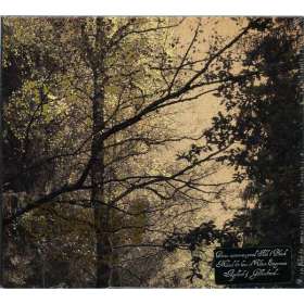 DÄMMERFARBEN - Herbstpfad | Black Metal | CD Digipack | Icarus Music