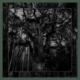 Enisum - Seasons Of Desolation - Lp Doble Color