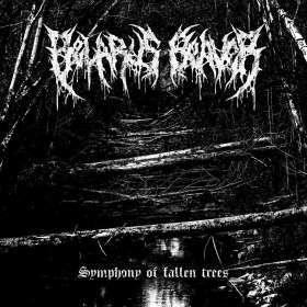 Belarus Beaver - Symphony Of Fallen Trees - Cd