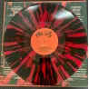 Anal Vomit - Demoniac Flagellations - Lp Color + Poster