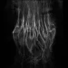 Incursus - Lp - Adaestuo