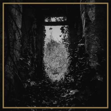 I, THE WEAPOND - The Ivy - Cd Digipack