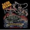 ACID MASS  - Agonizer - Cd