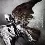MORGOTH - Cursed to live