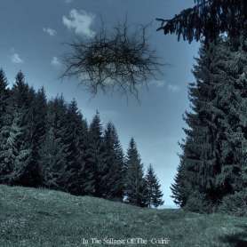 BASARABIAN HILLS - In the stillness of the codrii
