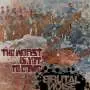 BRUTAL NOISE - The Worst Is Yet to Come - cd