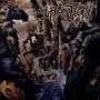 SUFFOCATION - Souls to Deny - Cd
