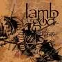 LAMB OF GOD New american gospel