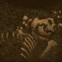 THRALL - Aokigahara Jukai - Cd