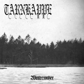 TARNKAPPE - LP - Winterwaker
