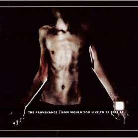 THE PROVENANCE - How Would You Like To Be Spat At