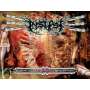 INSEPSY - Diagnostic and Statistical Manual of Mental Disorders | Death Metal | CD | Icarus Music