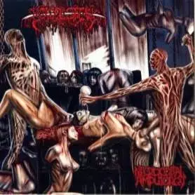 BOWEL STEW - Necrocoital Amputorgy | Goregrind | CD | Icarus Music