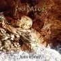 PREDATOR - Homo Infimus