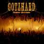GOTTHARD Homegrown - Alive in Lugano