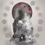 CELLAR DARLING - This is the sound - CD