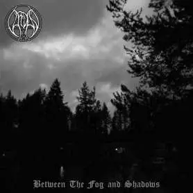VARDAN - Between the fog and shadows
